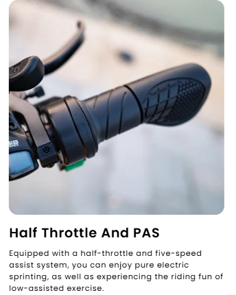 Happyrun Tank G60 Pro 2000W Moped Style Offroad Electric Bike Fat Tire Regular price