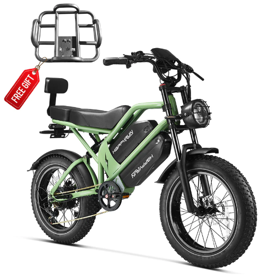 HappyRun G70 2000W Dual Battery Fast Electric Cargo Bike