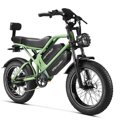 HappyRun G70 2000W Dual Battery Fast Electric Cargo Bike