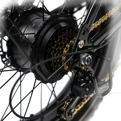 HappyRun G70 2000W Dual Battery Fast Electric Cargo Bike