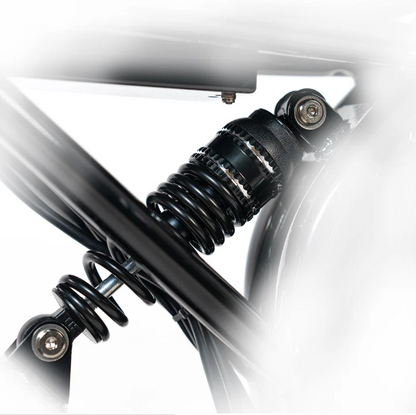 HappyRun G70 2000W Dual Battery Fast Electric Cargo Bike