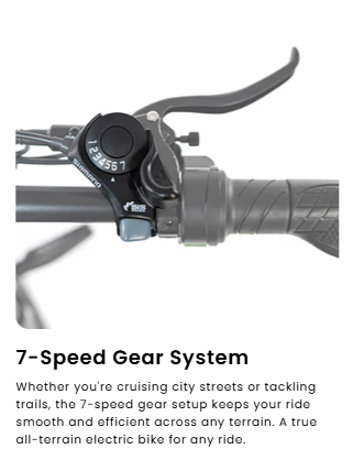 HappyRun G70 2000W Dual Battery Fast Electric Cargo Bike