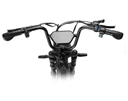 Happyrun Tank G60 Pro 2000W Moped Style Offroad Electric Bike Fat Tire Regular price