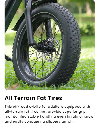 Happyrun Tank G60 Pro 2000W Moped Style Offroad Electric Bike Fat Tire Regular price